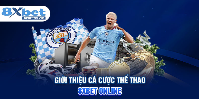 Giới thiệu cá cược thể thao 8XBET Online